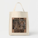 Search for clouded leopards Animal