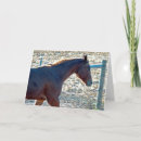 Search for yearling Equine