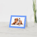 Search for english bulldog cards Puppies