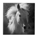 Search for portrait tiles Western