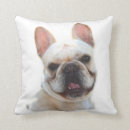 Search for french bulldog cushions Dogs
