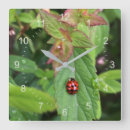 Search for ladybug clocks Red