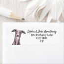 Search for greyhound return address labels Animal