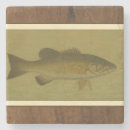 Search for bass coasters Fish