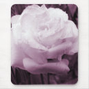 Search for tints photography Tinted