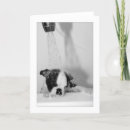 Search for bathtub cards Dog