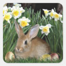 Search for jonquil flower stickers Jonquils