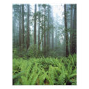 Search for forest floor posters Green