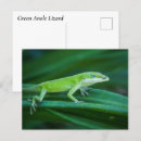 Search for lizards postcards Herpetology