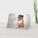 Search for sheltie birthday cards Collie