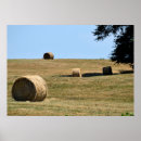 Search for hay posters Straw