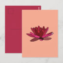 Search for lily postcards Vintage