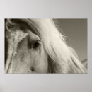 Search for cheval posters Animal