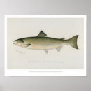 Search for salmon posters Retro
