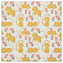 Search for orange tabby Cute