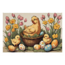 Search for easter chicken posters Baby chick