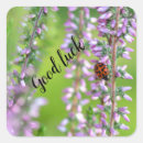 Search for ladybird stickers Nature