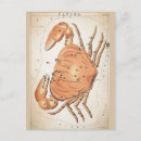 Search for zodiac postcards Horoscope