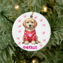 Search for elegant pet memorial ornaments Create your own