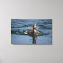 Search for beak canvas prints Nature