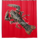 Search for lobster shower curtains Shellfish