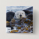 Search for floating badges Animal