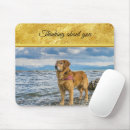 Search for missing you electronics Dog