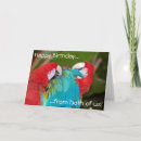 Search for macaw birthday cards Wildlife