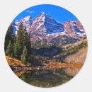 Search for aspen colorado stickers Tree