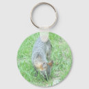 Search for foxies key rings Animal