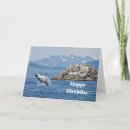 Search for alaska birthday cards Wildlife