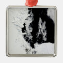 Search for 2010 christmas tree decorations White