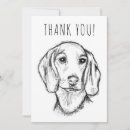 Search for doxies cards For pets