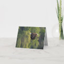 Search for pacific northwest cards Wildlife