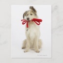 Search for leashed postcards Vertical