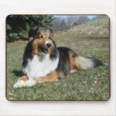 Search for sheltie mousepads Animals