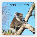 Search for koalas stickers Australian