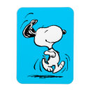 Search for happy rectangular magnets Peanuts