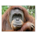 Search for thinking monkey cards Cute