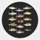 Search for freshwater stickers Biology
