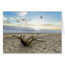 Search for driftwood cards Sea