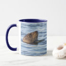 Search for seals mugs Wildlife