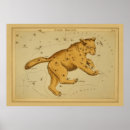 Search for ursa major posters Star charts