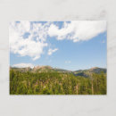 Search for needles postcards Travel