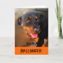 Search for animal halloween cards Dogs