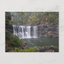 Search for kentucky postcards Forest