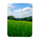 Search for countryside magnets Green