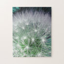 Search for dandelion puzzles Green