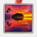 Search for travel christmas tree decorations Coast