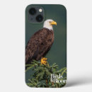 Search for eagle cases Bird